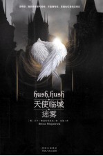 天使临城 迷雾