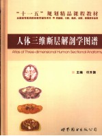 DYNAMICS BEYOND UNIFORM HYPERBOLICITY:A GLOBAL GEOMETRIC AND PROBABILISTIC PERSPECTIVE 影印版