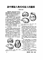 1951年的著作 24-35 谈中国猿人与爪哇猿人的关系