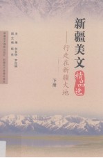 行走在新疆大地:新疆美文精品选 下