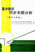 高中数学同步专题分析 高中二年级