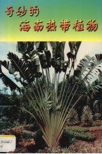 奇妙的海南热带植物