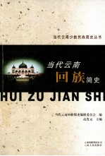 当代云南回族简史