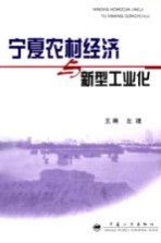 宁夏农村经济与新型工业化