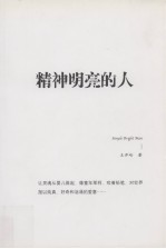 精神明亮的人 王开岭散文随笔自选集