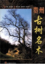 贵州古树名木