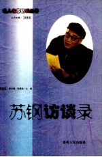 苏钢访谈录