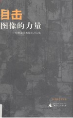 目击图像的力量 何香凝美术馆在2002年