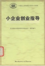 小企业创业指导