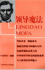 领导魔法 完全领导的魔力与令人敬畏的品质