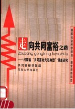 走向共同富裕之路 河南省“共同富裕先进典型”调查研究