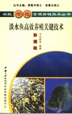 淡水鱼高效养殖关键技术 彩插版
