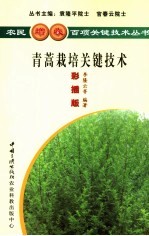 青蒿栽培关键技术 彩插版