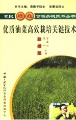 优质油菜高效栽培关键技术 彩插版