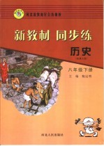 新教材 同步练 历史 八年级 下 配冀人版