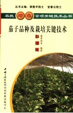 优质茄子品种及高效栽培关键技术 彩插版