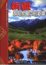 新疆 探险家眼中的新疆
