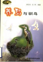 养鸟与驯鸟