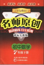 苏教金牌助学·名师原创 课标人教版 初中数学 七年级 下