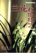 兰花栽培技艺 第2版
