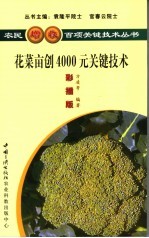 花菜亩创4000元关键技术 彩插版