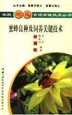 蜜蜂良种及饲养关键技术 彩插版