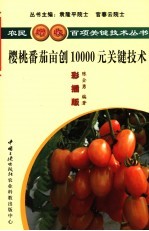 樱桃番茄亩创10000元关键技术 彩插版