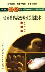 优质番鸭高效养殖关键技术 彩插版