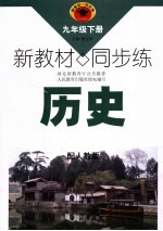 新教材 同步练 历史 九年级 下 配人教版
