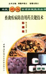 畜禽疾病防治用药关键技术 彩插版