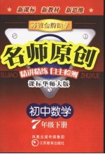 苏教金牌助学·名师原创 课标华师大版 初中数学 七年级 下