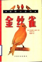 金丝雀