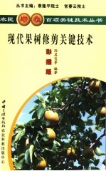 现代果树修剪关键技术 彩插版
