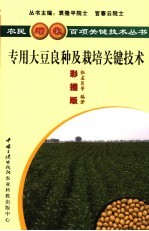 优质专用大豆品种及栽培关键技术 彩插版
