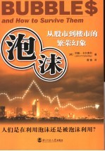泡沫 从股市到楼市的繁荣幻象