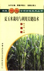 夏玉米良种及栽培关键技术 彩插版