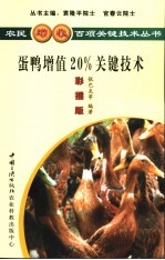 蛋鸭增值20%关键技术 彩插版