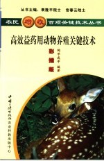 高效益药用动物栽培关键技术 彩插版