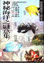 神秘海洋之谜总集