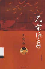 大宋风月 王安石