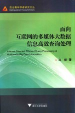 面向互联网的多媒体大数据信息高效查询处理
