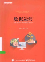 数据运营 深度揭秘SEO电商数据抓取技术