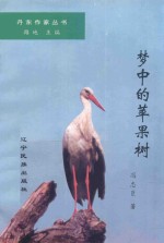 丹东作家丛书 梦中的苹果树