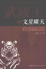 武陵王 文星曜天