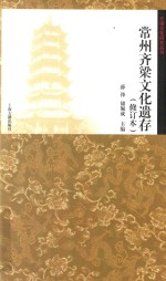 齐梁文化研究丛书 常州齐梁文化遗存
