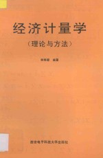 经济计量学 理论与方法