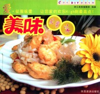 E时代DIY厨娘专辑 美味家常菜