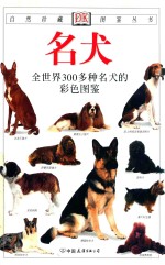 名犬