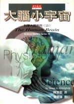 大脑小宇宙