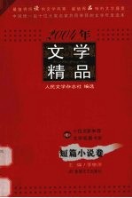 2004年文学精品 短篇小说卷